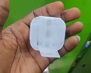 Apple Adapter