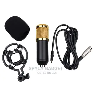 BM-800 Condenser Microphone