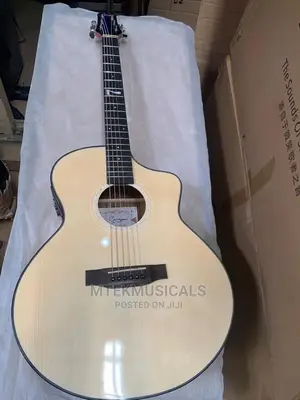 Semi-Acoustic Guitar