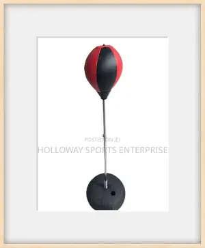 Punching Ball Set