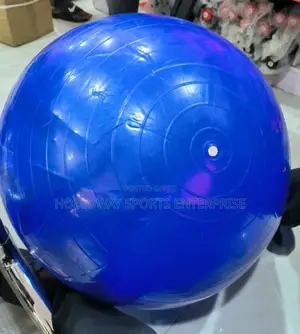 NEW Gym Balls