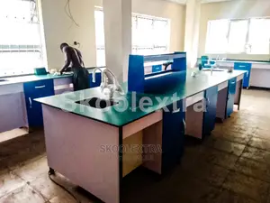 School Desk