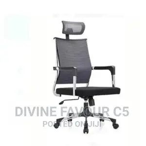 Executive Ergonomic Office Chair