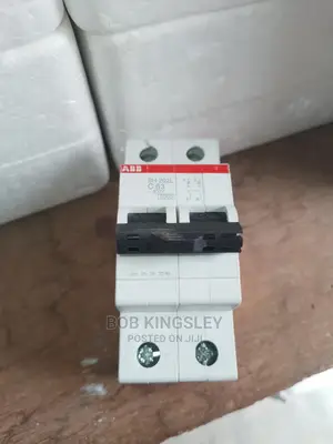 63A 2pole MCB Abb