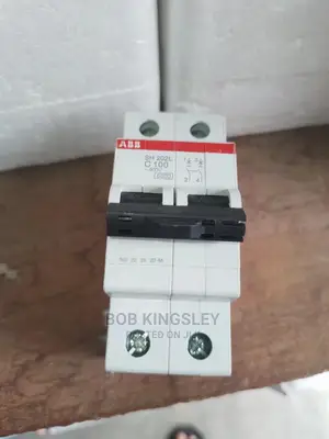 100A 2pole MCB Abb