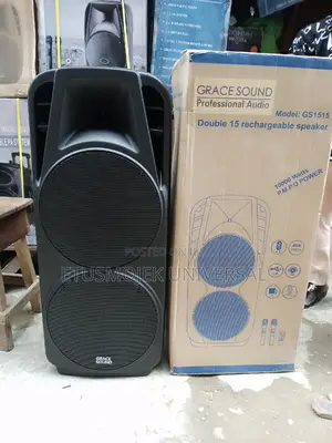 Rechargeable Double Speakers Public Address System