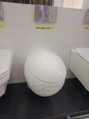 Wall Hung Water Closet-Y100r4