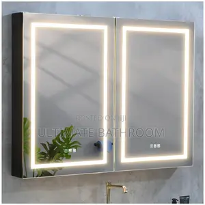 2 Door Cabinet Mirror With Light