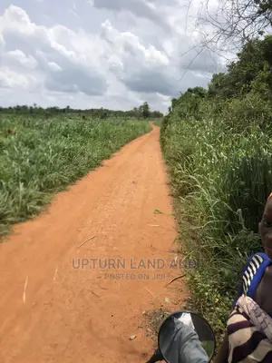 375 Acres of Land for Sale in a Secure Save Environment