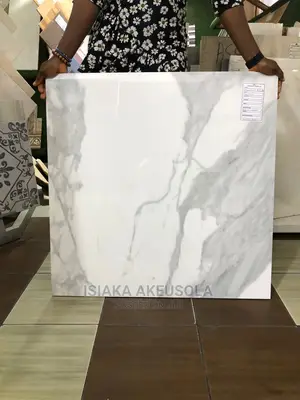 80 X 80 Latest Design Nig. Tiles