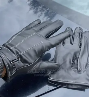 Luxury Leather Ski Gloves