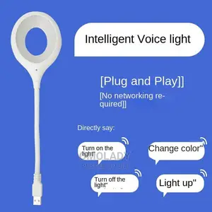 Led Intelligent Voice Control Usb Light
