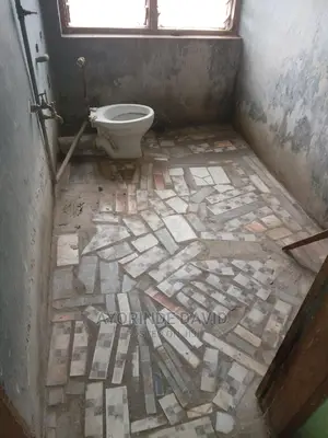 Toilet Upgrading