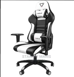 Luxurious Office/Gaming Chair