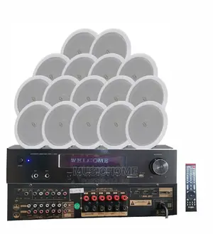 Digital Background Bluetooth Amplifier With Remote Control