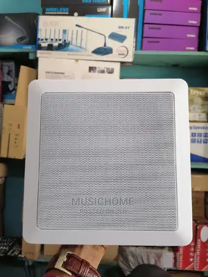 In-Wall/Inceiling Speaker