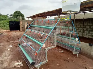Layers Battery Cage