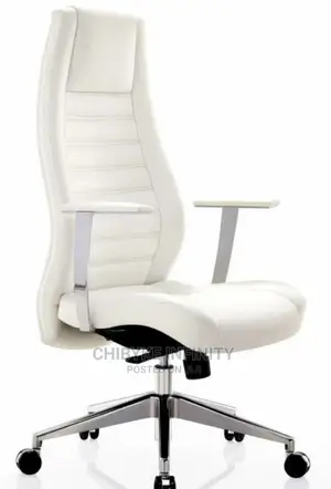 EXECUTIVE OFFICE CHAIR Boss Design, Great Quality, Available
