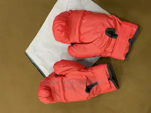 Boxing Speedball Set