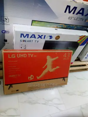Durable LG 43 Inch Smart TV