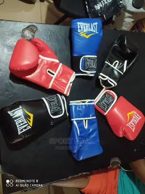 Boxing Exercise Gloves. Everlast
