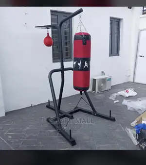 Standing Punching Bag With Hanger and Speed Ball