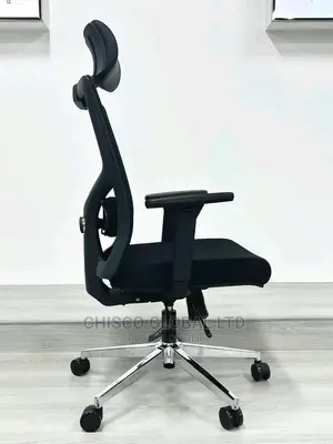 Office Chair ( Ergonomic)
