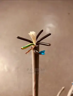 Number One Shielded Cable