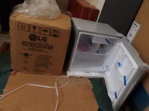 Portable and Afforda Ble 45L LG Mini Fridge