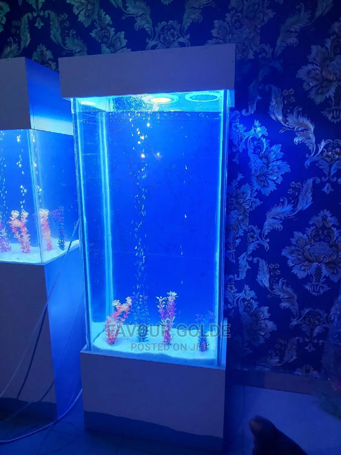 Aquarium Interior