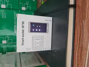 13A Smart Socket