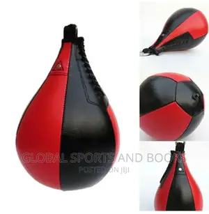 Hanging Speed Punching Bag