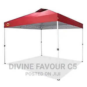 10x10 Foldable Canopy/ Gazebo