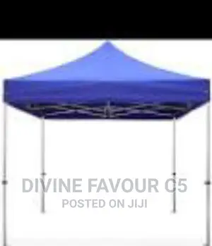 10x10 Foldable Canopy/ Gazebo