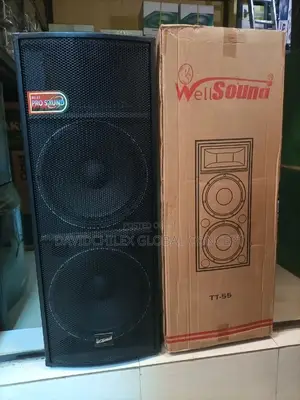 Wellsound 15inches Double Speaker
