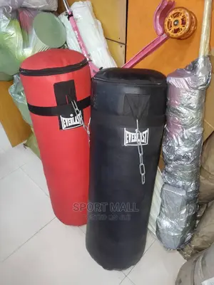 Everlast Punching Bag