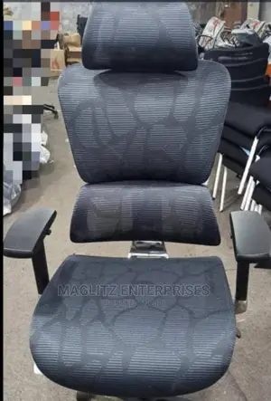 Executive Egonomic Office Chair