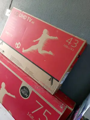 High Quality 43 Inch LG Smart TV
