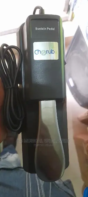 Sustain Pedal