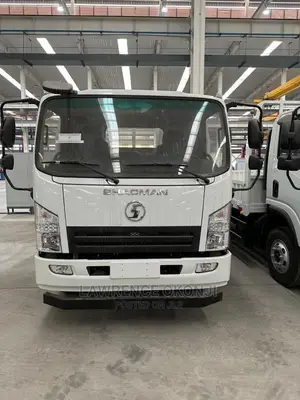 4x2 Light Truck Shacman (8 Tons)
