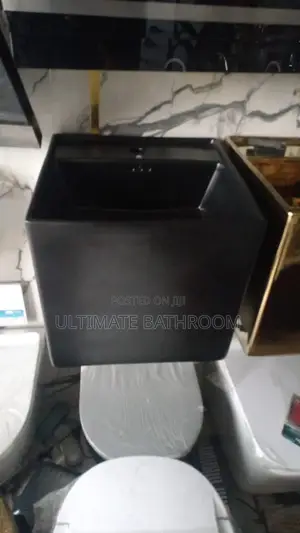 Matt Black Wall Hung Dinning And Bathroom Basin