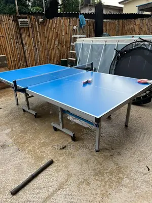 New Haggai Outdoor Table Tennis Board With Net and Bat