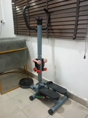 Standing Exercise Stepper With Dumbells and Twister