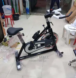 Portable Spinning Exercise Bike