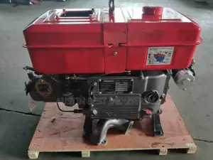 Zs1115 Diesel Engine 22hp
