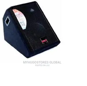 EVP Professional Floor Monitor Speakers - 2 Pieces