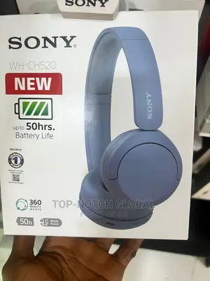 SONY Wh_ Ch520