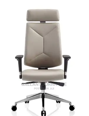 Executive Ergonomic Office Chair