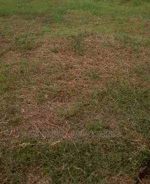 100 Acres of Dry Land for Sale