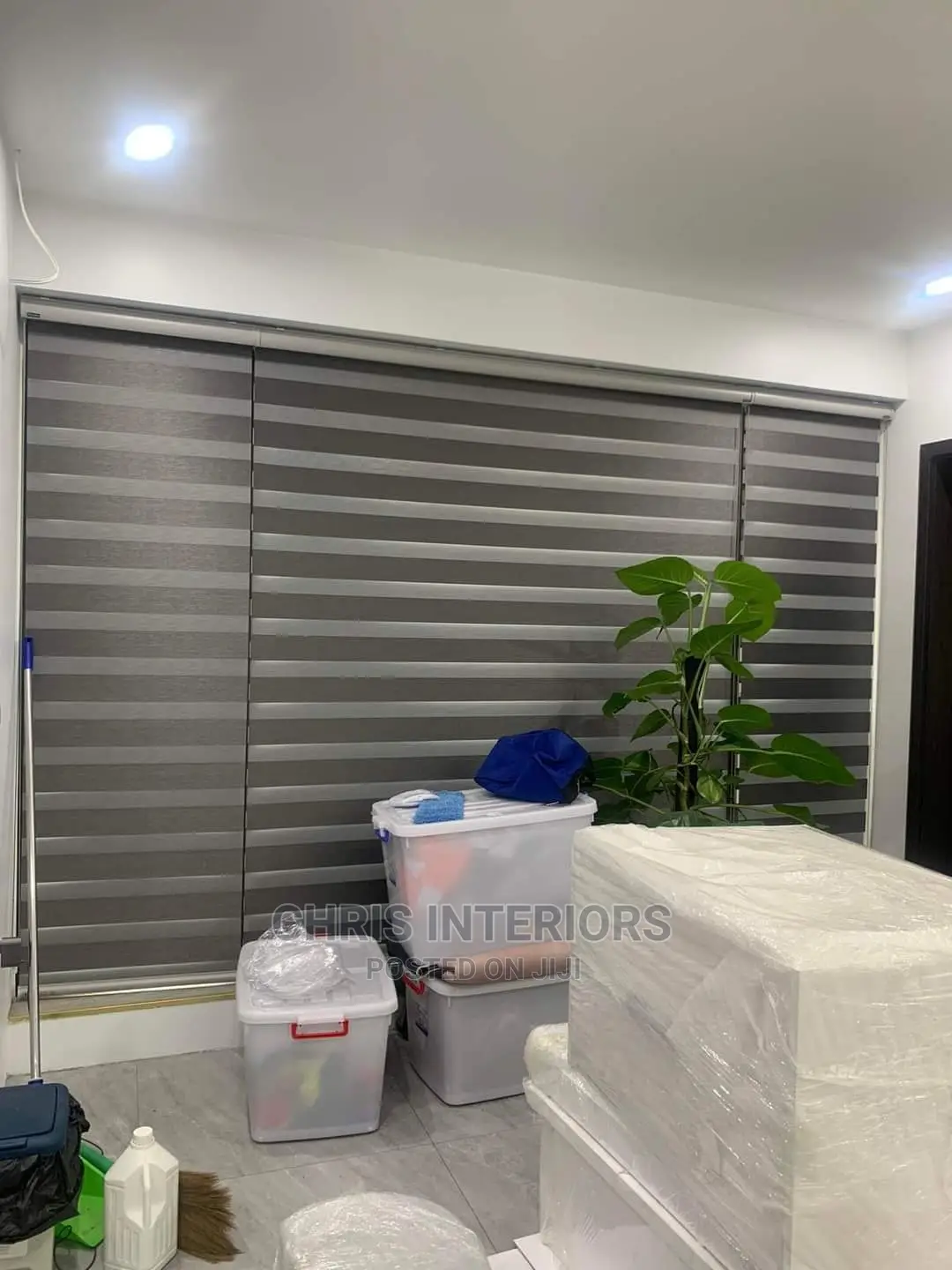 Window Blinds